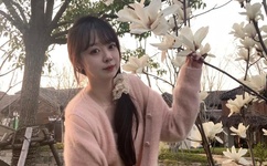 兔子帮动画全集爱奇艺